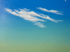 Famille-cirrus